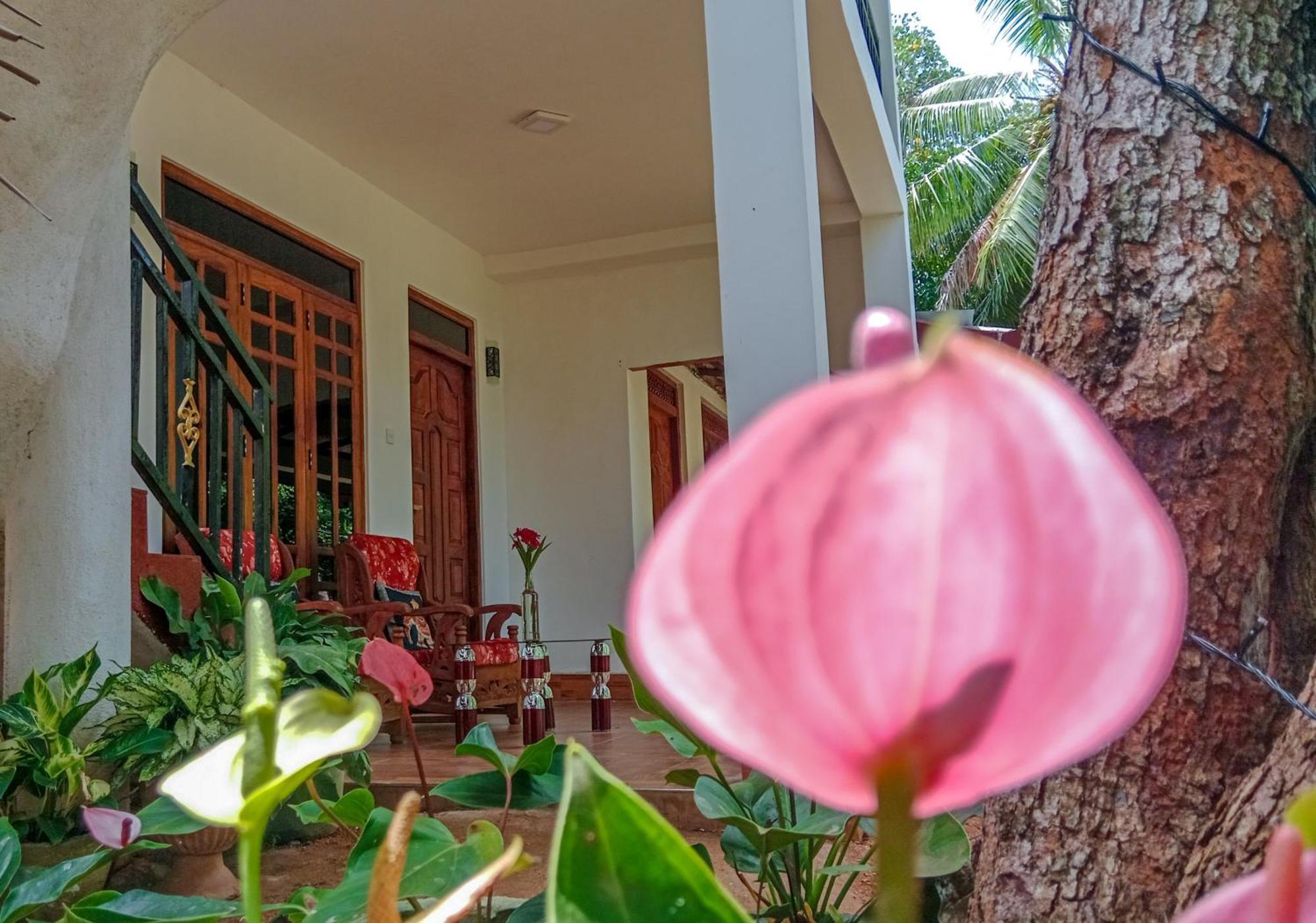Gimhana Homestay Sigiriya Exterior foto