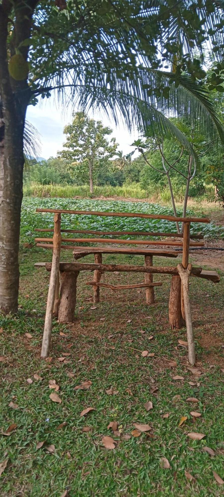 Gimhana Homestay Sigiriya Exterior foto